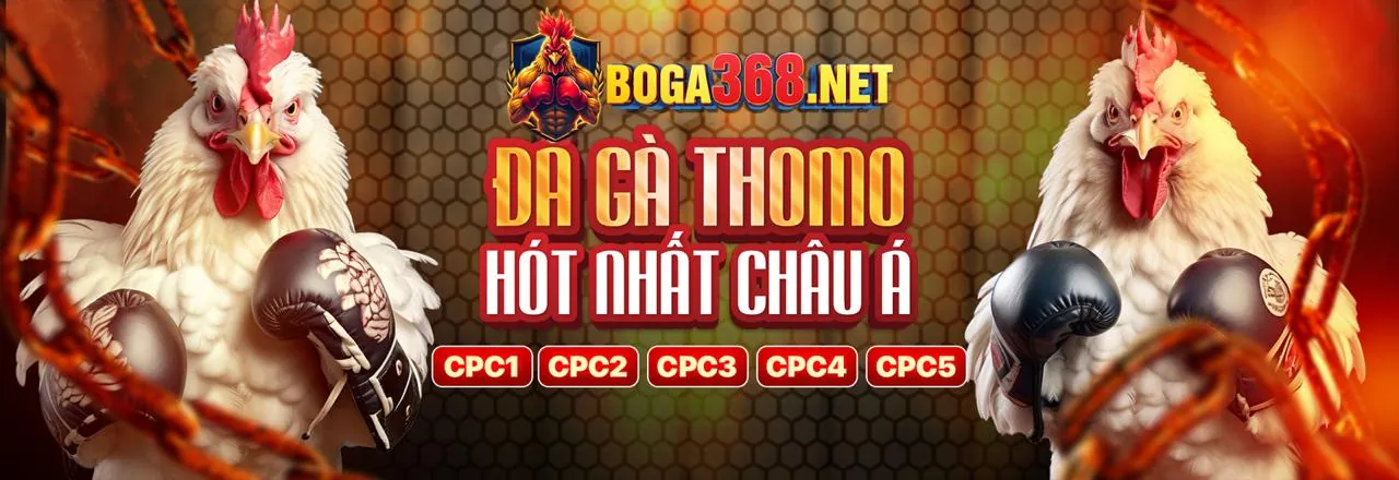 Hình ảnh khu vực câu hỏi thường gặp